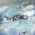 IMG_4350.jpeg